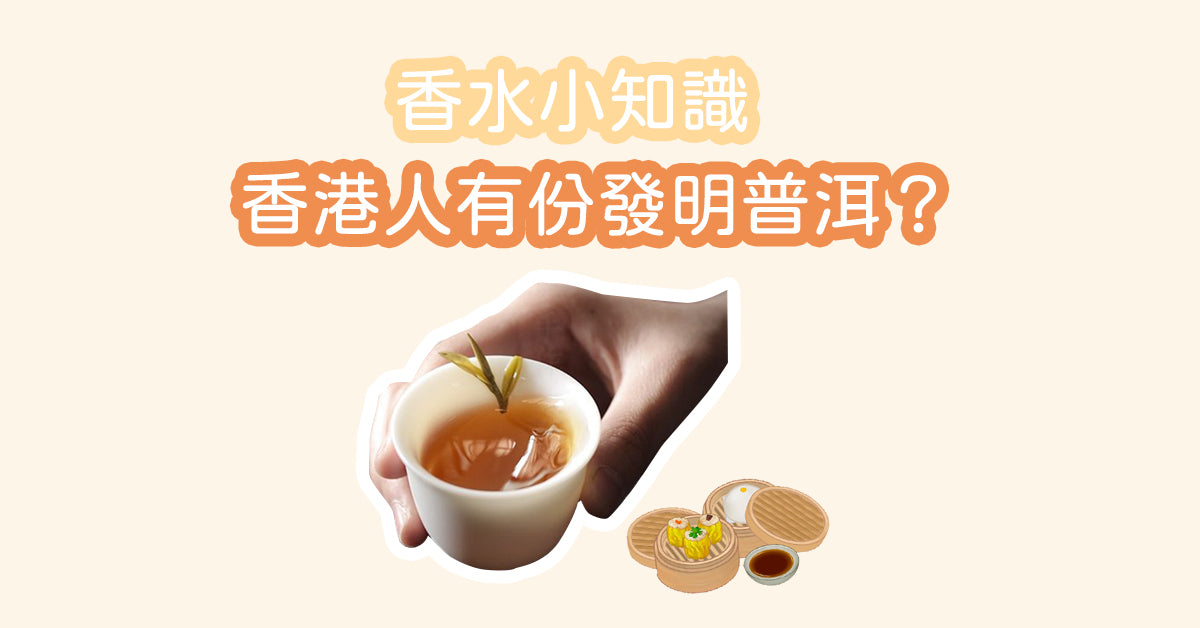 香水小知識 - 香港人有份發明普洱?