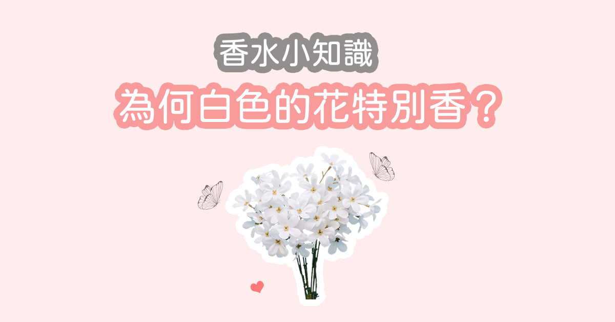 【香水小知識 - 為何🌼白色的花特別香?】