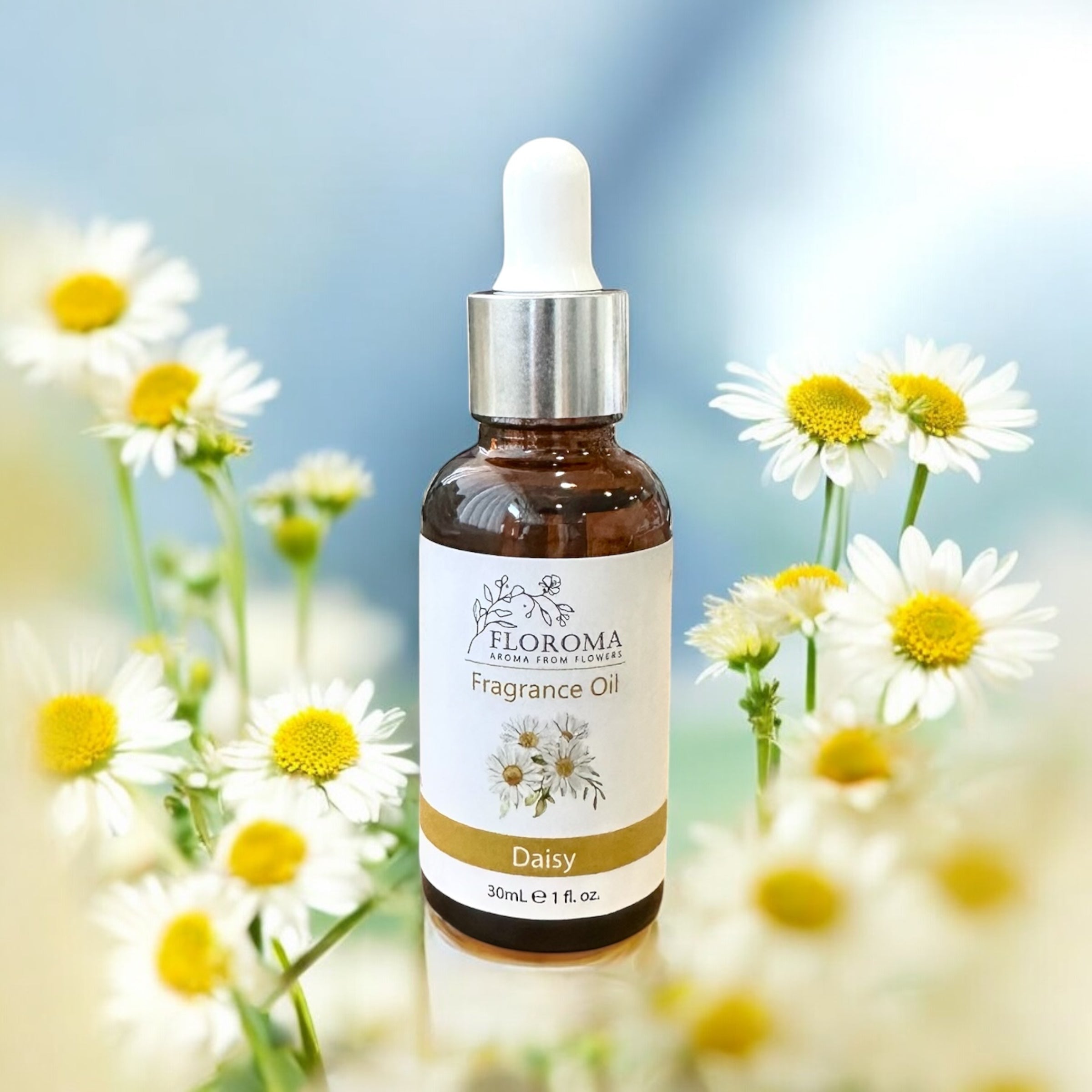 小雛菊香薰精油 Daisy Fragrance Oil