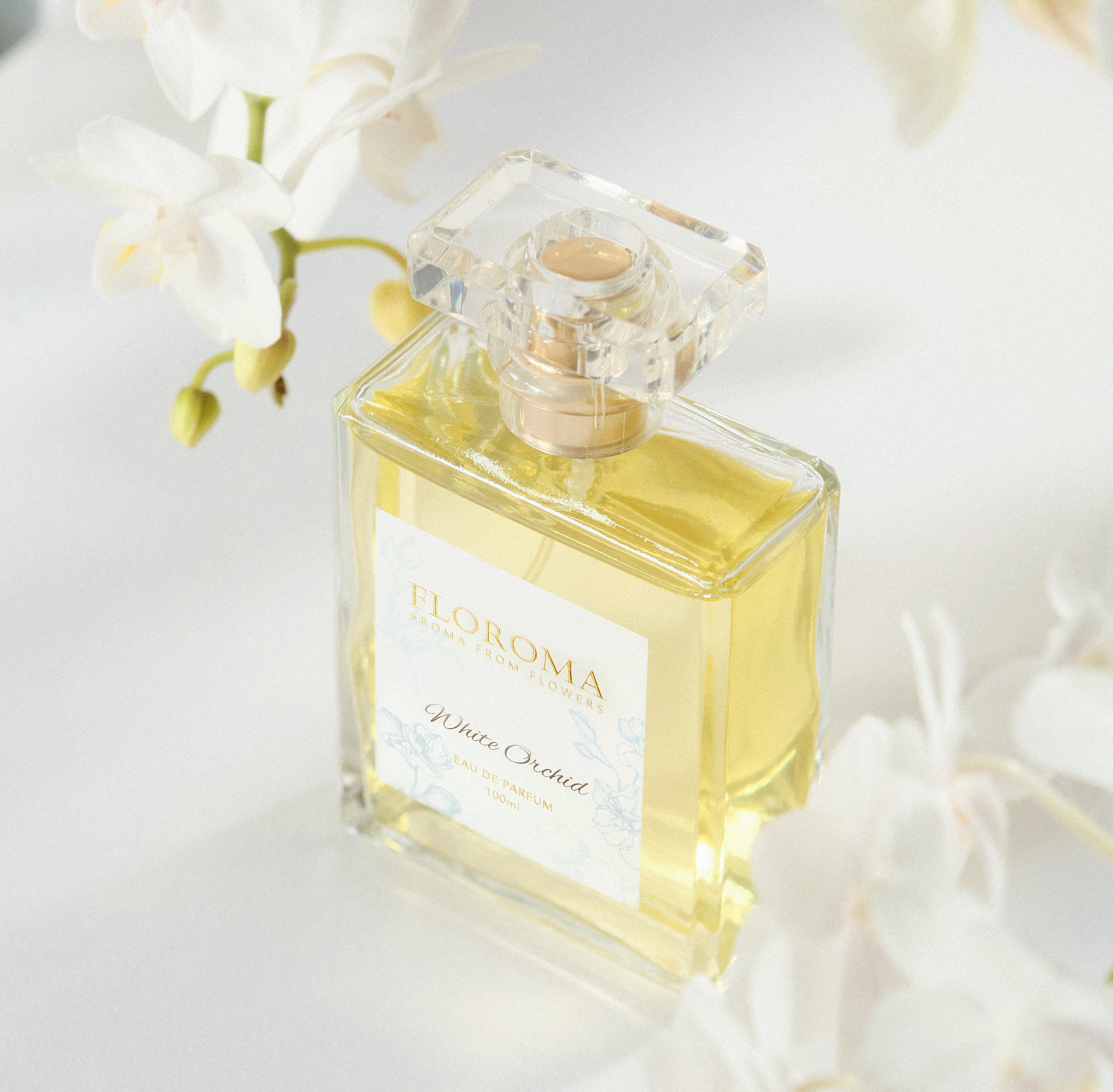 【雙11限定】買豪華版EDP香水送隨行裝香水10ML