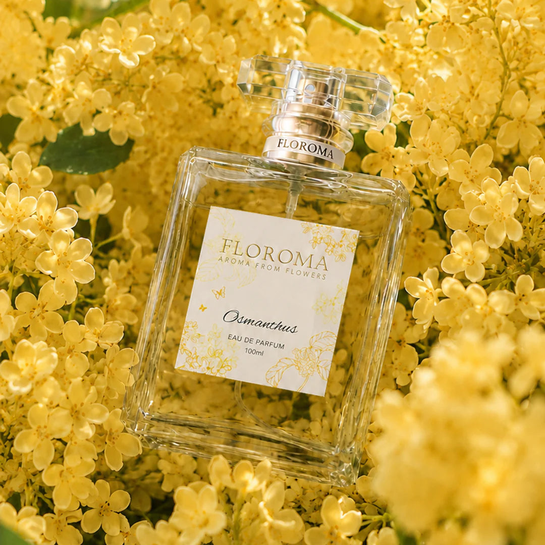 夏日限定｜豪華版香水100mL 買二送一！免運費！