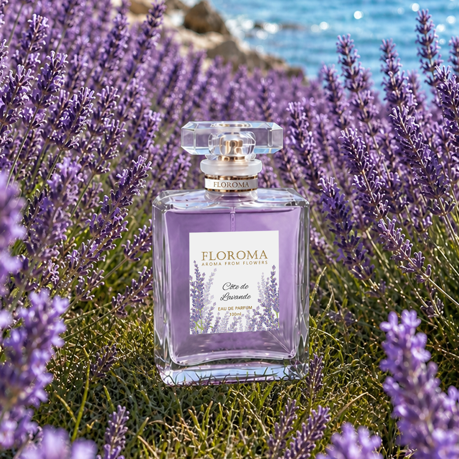 Côte de Lavande 海岸薰衣草香水