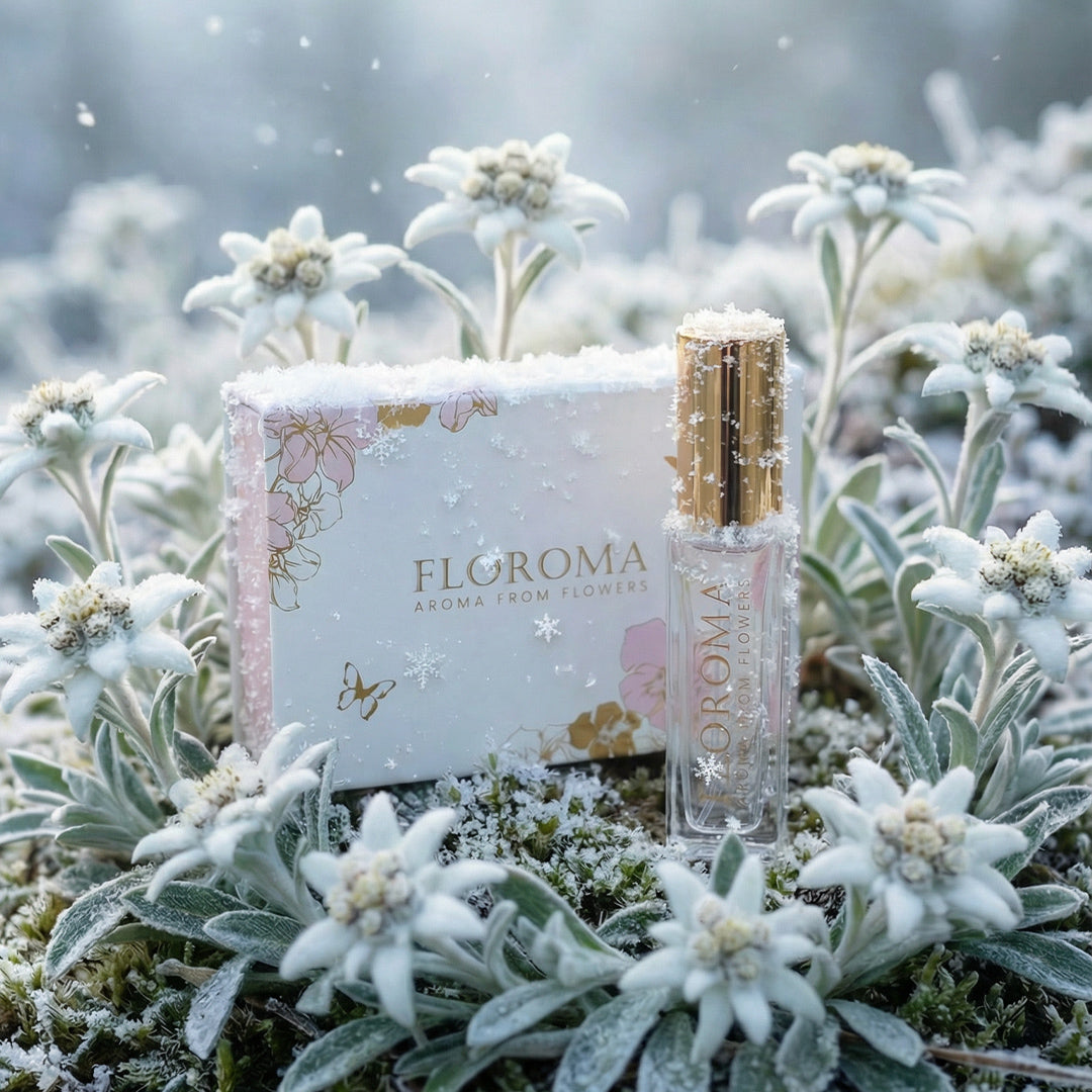 初雪·雪絨花香水 Edelweiss Perfume